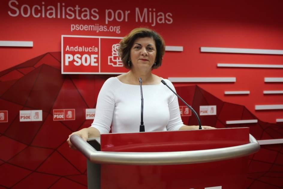 El PSOE de Málaga pide a la Junta que apueste por las unidades de referencia para tratar la endometriosis formando a los sanitarios y ponen en marcha campañas de sensibilización