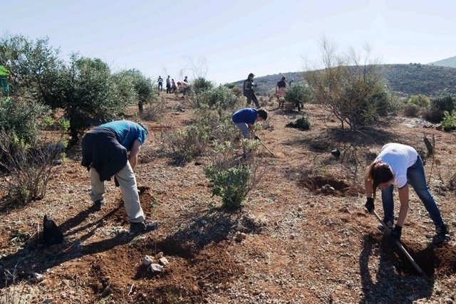 La Diputación celebra el Día del Árbol con una plantación junto a la pasarela del Guadalhorce