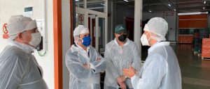 El PP exige que el Gobierno retire el Real Decreto de la reforma de la PAC que “perjudica gravemente” a Málaga