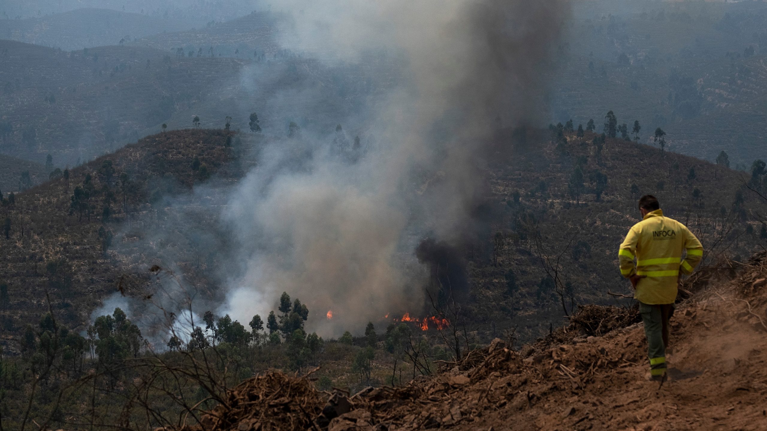 Prudencia desde la Junta de Andalucía ante la amenaza de incendios forestales