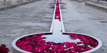 festival flora cordoba