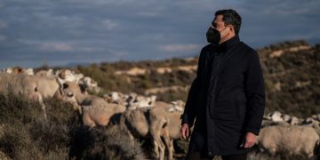 Moreno Bonilla ganadería