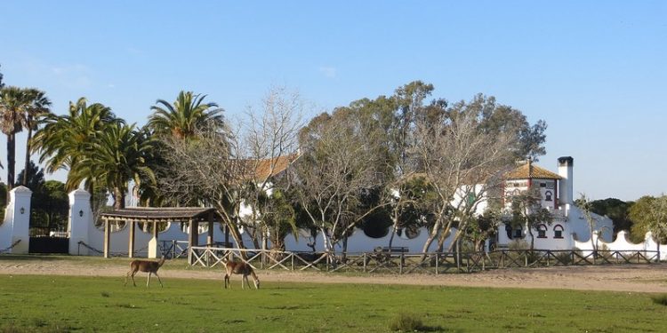 palacio las marismillas doñana
