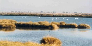 doñana huelva parque natural