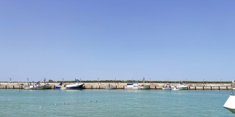 La subida del precio del combustible obliga a la flota pesquera andaluza a quedarse amarrada a puerto