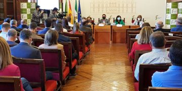 El Consejo de Alcaldes y Alcaldesas de Jaén pide a la Junta un modelo de financiación que garantice la viabilidad de la UJA