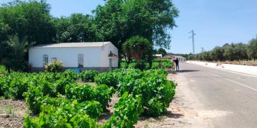 La Guardia Civil detiene en Cuenca al presunto asesino de su pareja en Montemayor