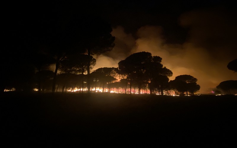 Incendio Almonte Huelva