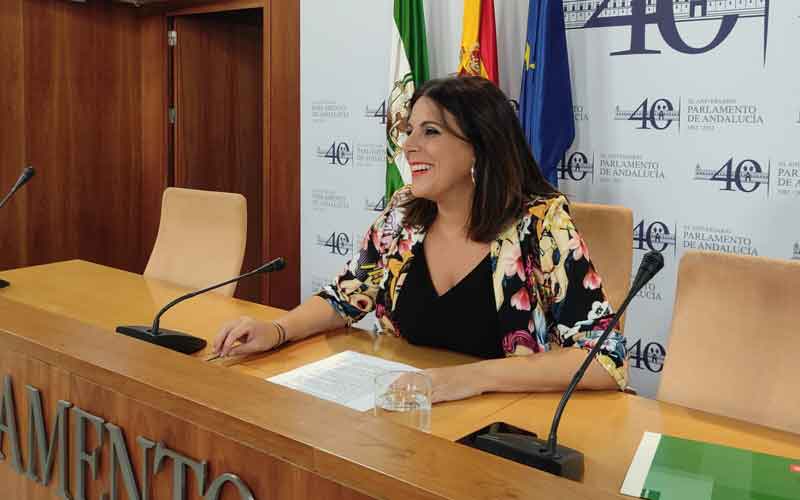 angeles ferriz psoe andalucia