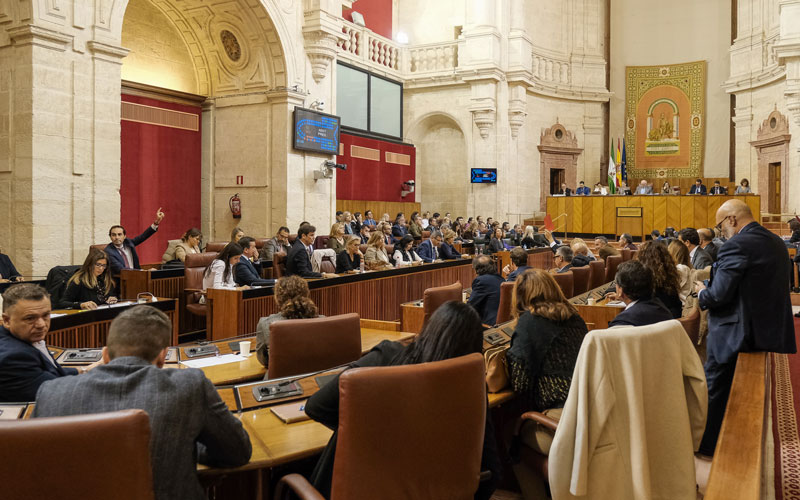 Un diputado de Vox llama «golfos» a los parlamentarios socialistas y es expulsado de la tribuna