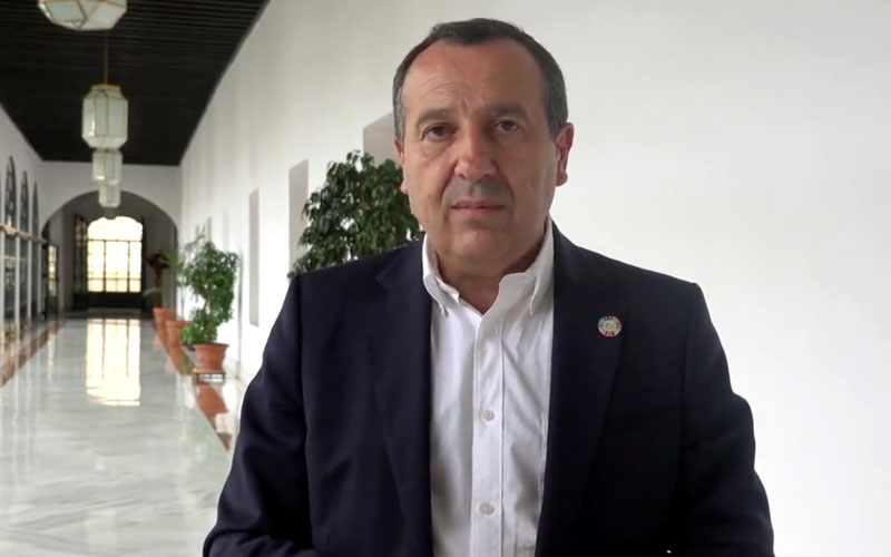 El PSOE-A reclama a Moreno Bonilla que resuelva los problemas de las familias de acogida y mejore su atención