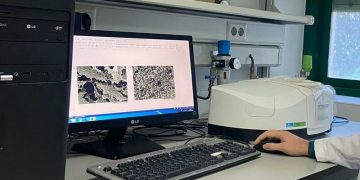 Investigación Científica Esponja Dióxido de Carbono