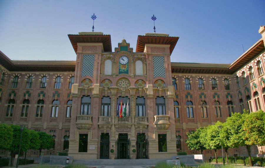 El PSOE-A alerta de universidades privadas que «no cumplen» con «niveles mínimos» de calidad