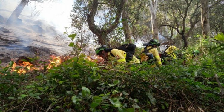 Incendio Trabajadores INFOCA