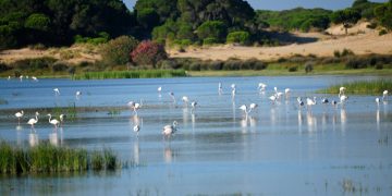 La CHG elabora las bases de los criterios para asignar el agua del trasvase de la demarcación de los ríos Tinto, Odiel y Piedras