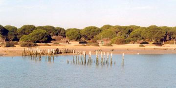 parque nacional de doñana