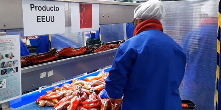 Las exportaciones andaluzas alcanzan los 17.117 millones hasta mayo