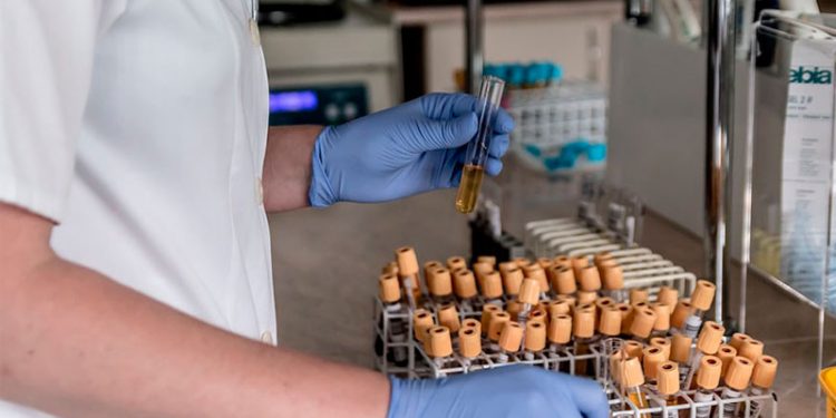 protocolo salud andalucia victimas sumision quimica