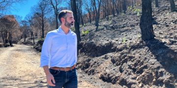 Fernández-Pacheco apuesta por un Gobierno «centrado, tranquilo y leal con Andalucía»