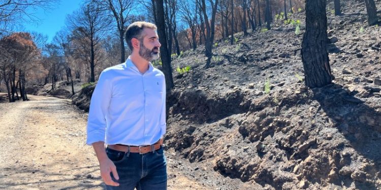 Fernández-Pacheco apuesta por un Gobierno «centrado, tranquilo y leal con Andalucía»