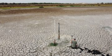 Santa Olalla, la laguna más grande de Doñana, se seca por segundo año consecutivo