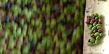 Andalucía exporta 20.026 millones de euros en el primer semestre