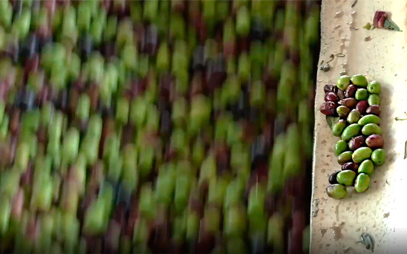 Andalucía exporta 20.026 millones de euros en el primer semestre