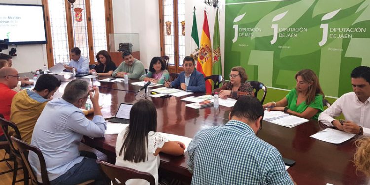 El Consejo de Alcaldes y Alcaldesas de Jaén pedirá medidas para paliar la escasa cosecha oleícola