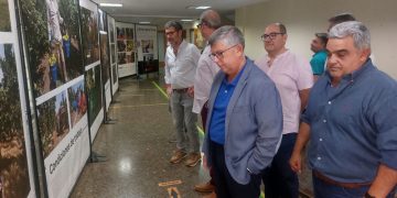 «Si no hay inversión en el sector del campo andaluz tenemos un problema de futuro»