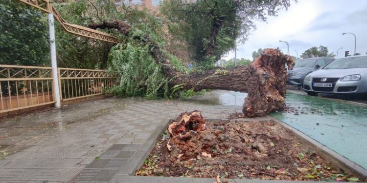 El paso de la borrasca ‘Aline’ deja más de 1.750 incidencias en Andalucía