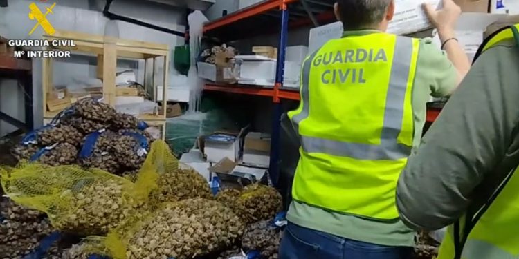 Intervienen en Úbeda más de cuatro toneladas de pescado y marisco no apto para el consumo