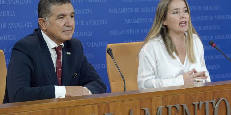 El PSOE critica que Juanma Moreno “sigue mintiendo y manipulando” con el Presupuesto de 2024