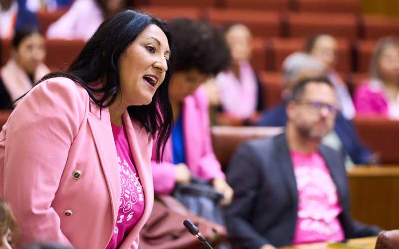 Por Andalucía pide a la Junta que atienda las reivindicaciones de los PTIS