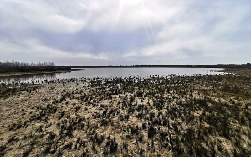 Andalucía contará con su IV Decreto de Sequía