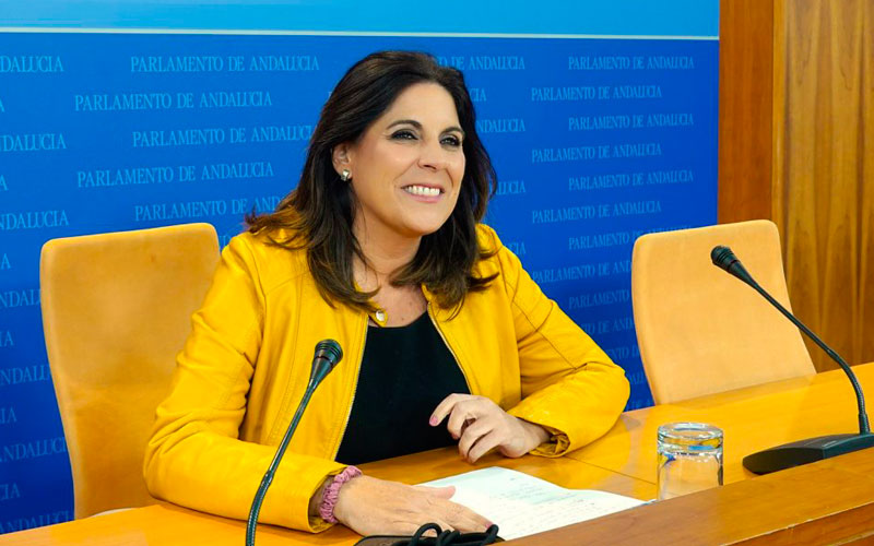 Férriz insiste en garantizar a los andaluces el acceso a la información veraz