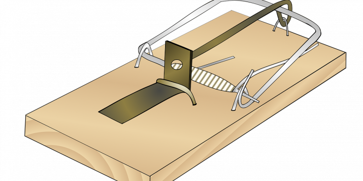De la transparencia al autoboicot