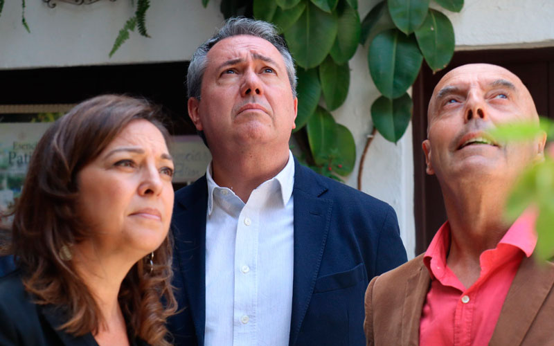 El PSOE presentará un recurso ante el TC contra el último decreto de simplificación de la Junta