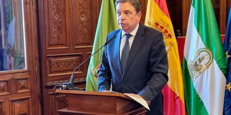 Planas subraya que los paisajes de olivar son la imagen internacional de un aceite de oliva de calidad y saludable