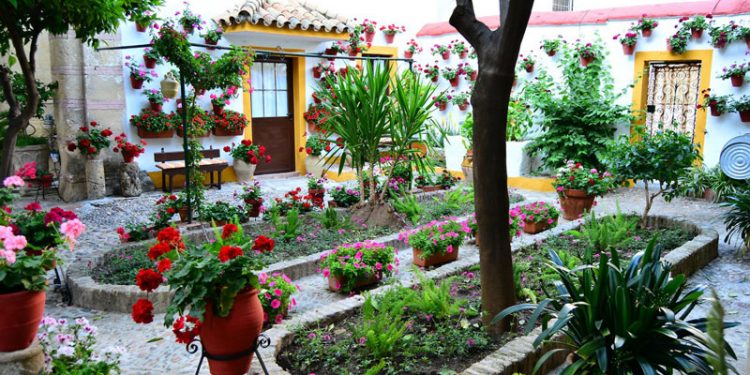 Comienzan los Patios de Córdoba para dar «más luz, colorido y frescor a la ciudad»
