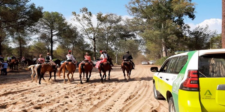 En marcha el Plan Romero 2024