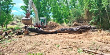 La CHG invierte en Jaén 1,7 millones de euros para la conservación y mejora de cauces