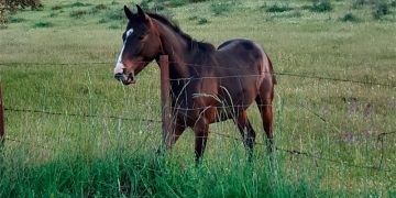 El verano ya llegó, el verano ya está aquí