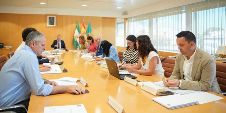 La Diputación inicia el control de la plaga de mosquitos en 13 pueblos sevillanos