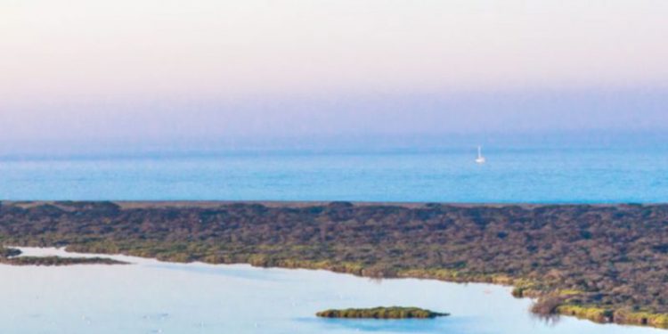 Hallado sin vida el cuerpo de un hombre en una playa de El Ejido