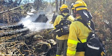 Controlado el incendio forestal en la Sierra de Andújar