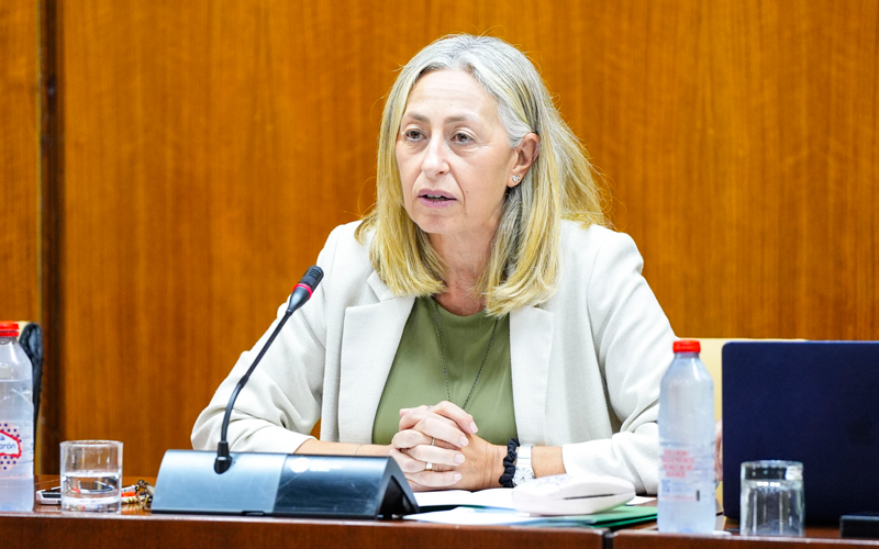 La consejera de Salud advierte que «quizás por un catarro común no hay que ir al médico»