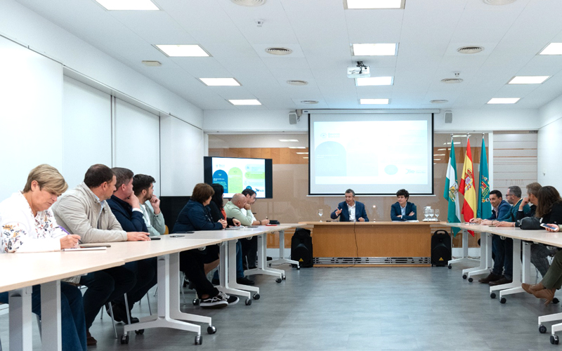 Convocadas las ‘Becas Reset’ de apoyo al alojamiento para estudiantes de la Diputación de Sevilla