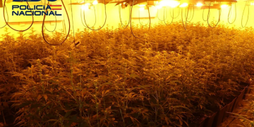 Un tiroteo en Linares: Detenciones por tráfico de drogas y tenencia ilícita de armas