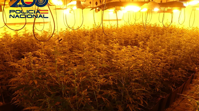 Un tiroteo en Linares: Detenciones por tráfico de drogas y tenencia ilícita de armas