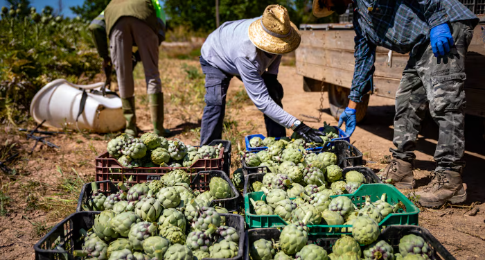 La subida del salario mínimo en España: dos décadas de cambios y debates